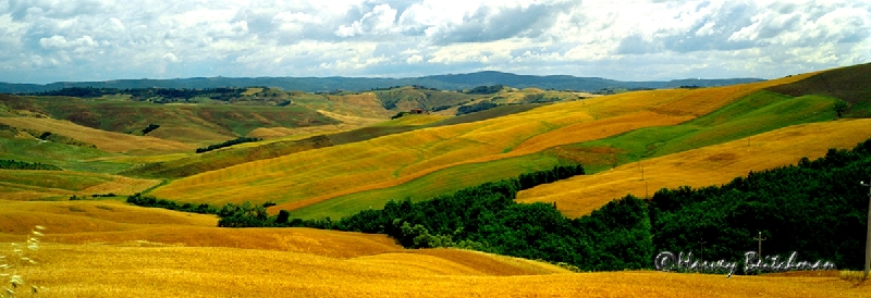 Tuscan Landscape No 0390A3.jpg